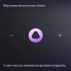 Вид 6